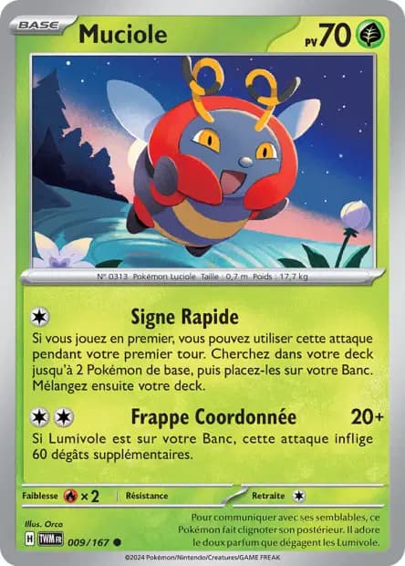 Muciole — Mascarade Crépusculaire
