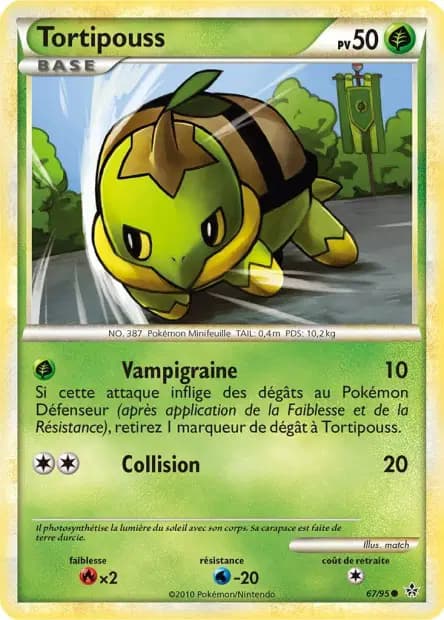 Tortipouss — HS : Déchaînement