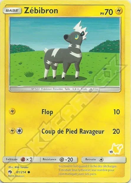 Blitzle — Battle Academy (Pikachu Deck)
