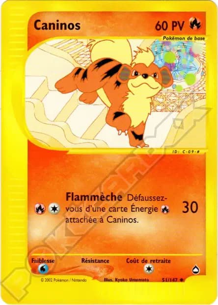 Growlithe — Aquapolis