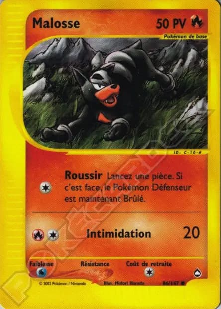 Houndour — Aquapolis