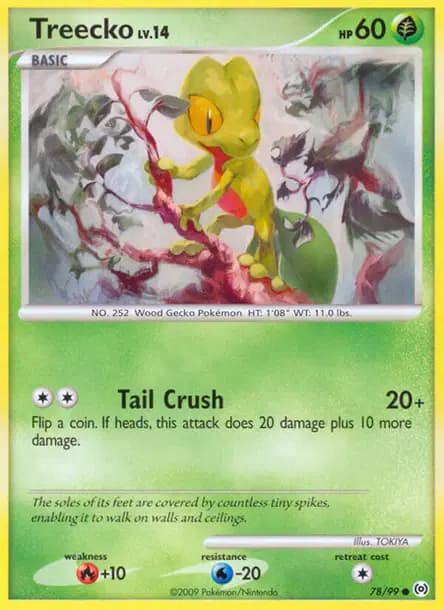 Treecko — Platinum—Arceus