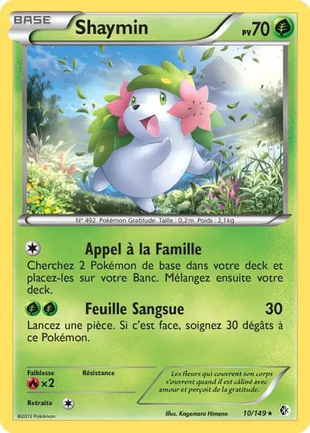 Shaymin — Boundaries Crossed