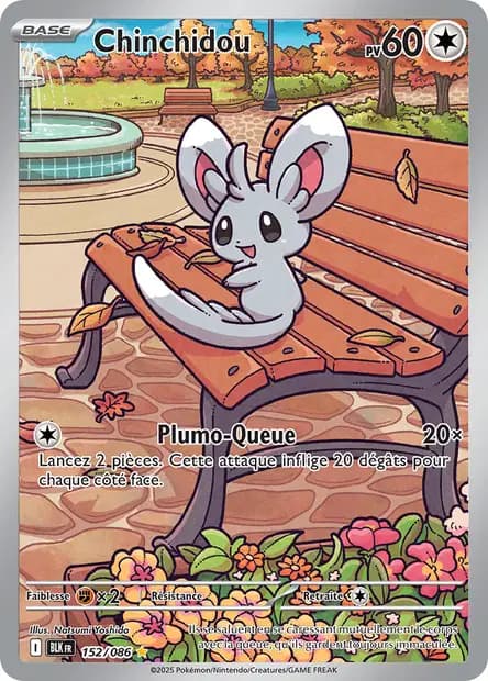 Minccino — Black Lightning
