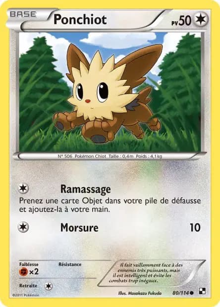Lillipup — Black & White