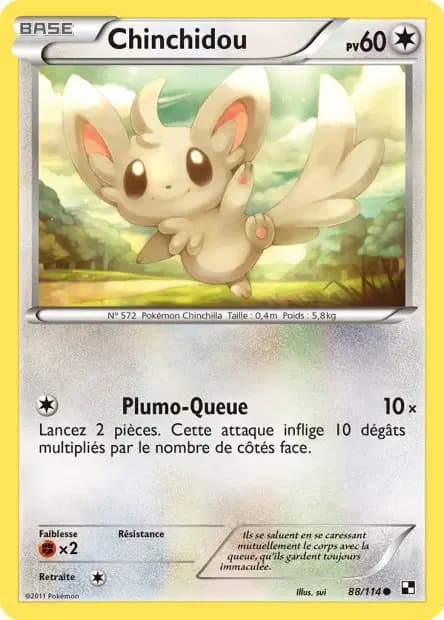 Minccino — Black & White