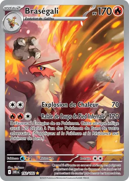Blaziken — Destined Rivals