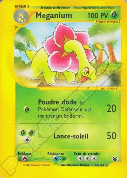 Meganium — Expedition Base Set