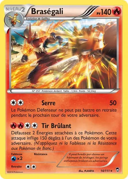 Blaziken — Furious Fists