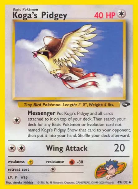 Pidgey — Gym Challenge