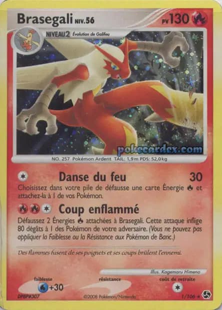 Blaziken — Great Encounters