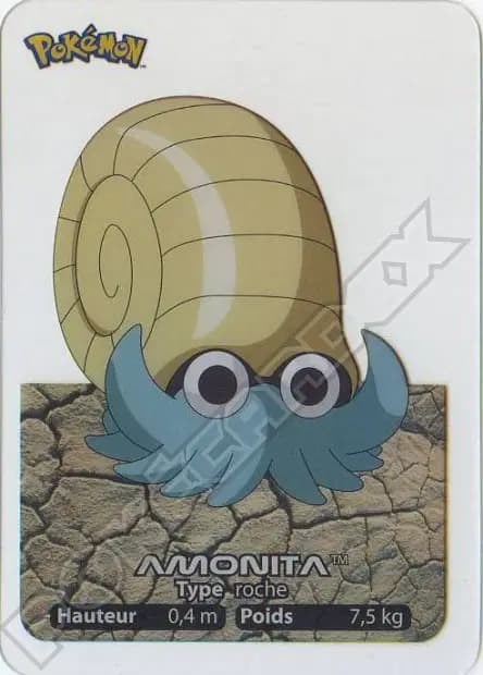 Omanyte — Lamincards 2005