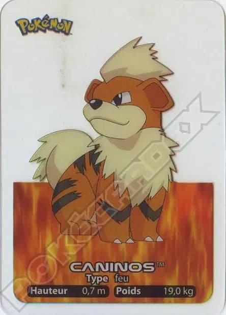 Growlithe — Lamincards 2005