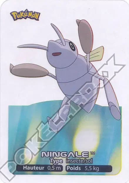 Nincada — Lamincards 2006