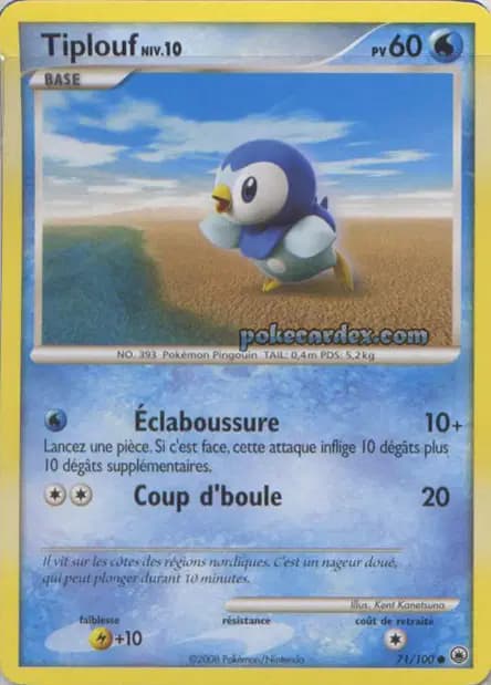 Piplup — Majestic Dawn