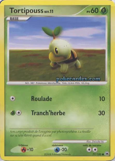 Turtwig — Majestic Dawn
