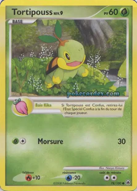 Turtwig — Majestic Dawn