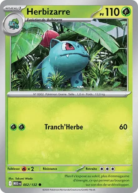 Ivysaur — Mega Evolution
