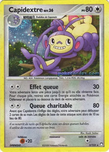 Ambipom — Mysterious Treasures