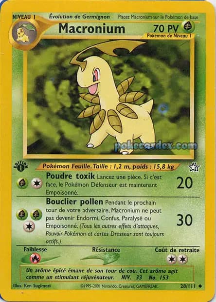 Bayleef — Neo Genesis