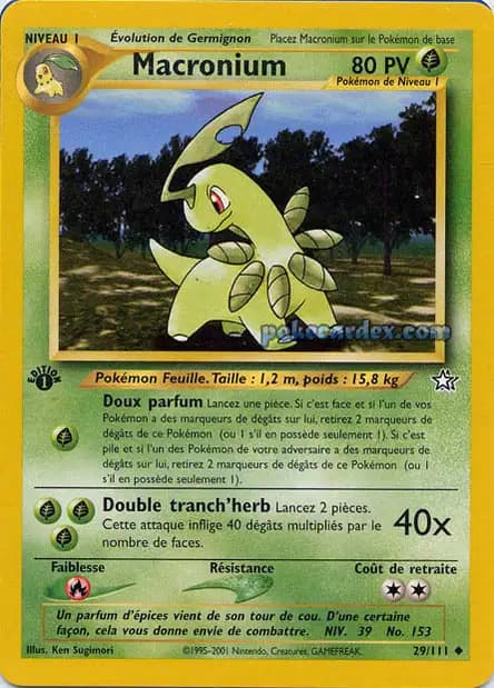 Bayleef — Neo Genesis