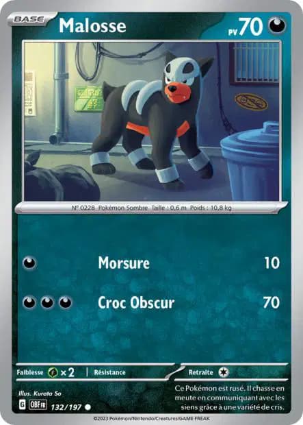 Houndour — Obsidian Flames
