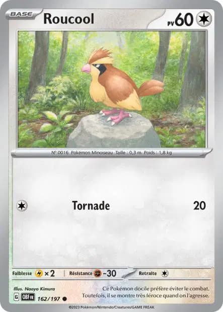 Pidgey — Obsidian Flames