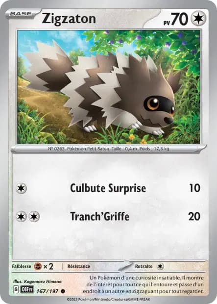 Zigzagoon — Obsidian Flames