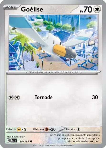 Wingull — Paldea Evolved