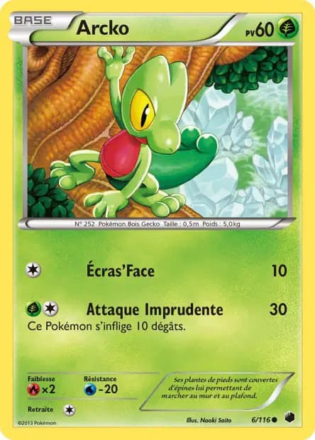 Treecko — Plasma Freeze