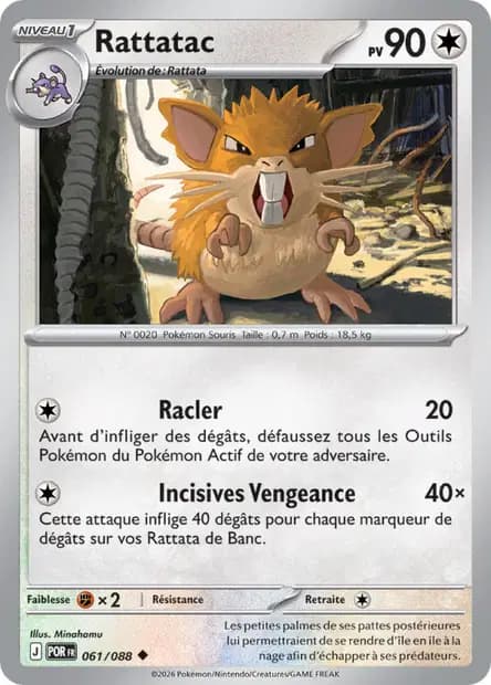 Raticate — Perfect Balance