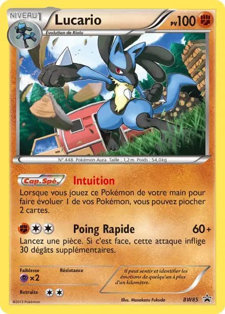Lucario — Black & White Black Star Promos