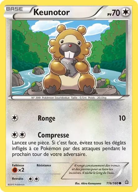 Bidoof — Primal Clash