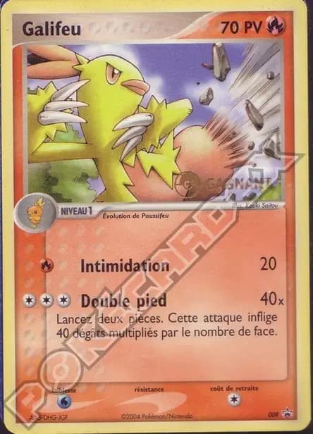 Combusken — Nintendo Black Star Promos