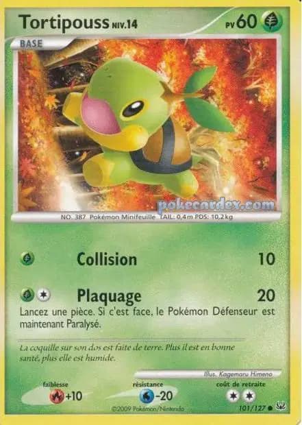 Turtwig — Platinum