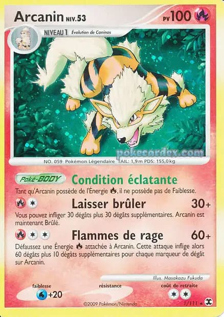 Arcanine — Platinum—Rising Rivals