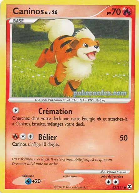 Growlithe — Platinum—Rising Rivals