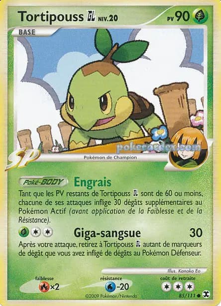 Turtwig — Platinum—Rising Rivals