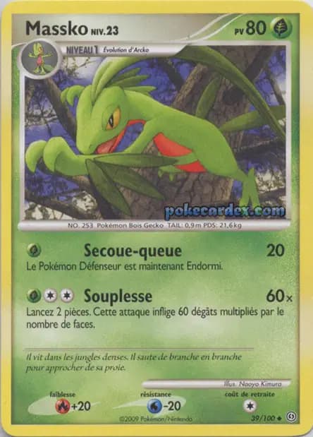 Grovyle — Stormfront