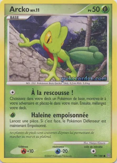 Treecko — Stormfront