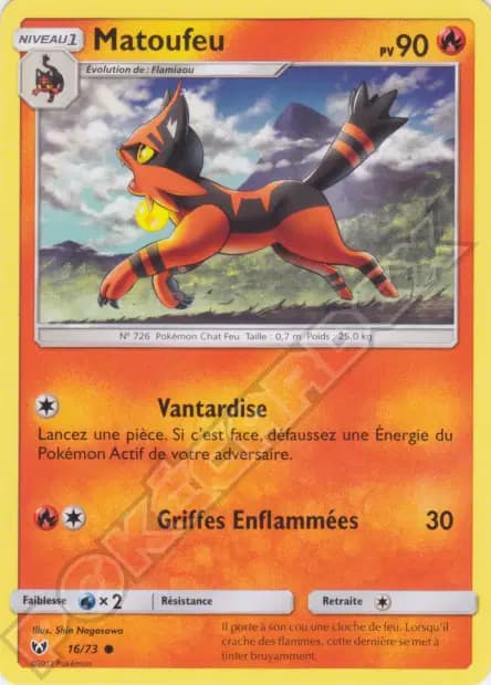 Torracat — Shining Legends
