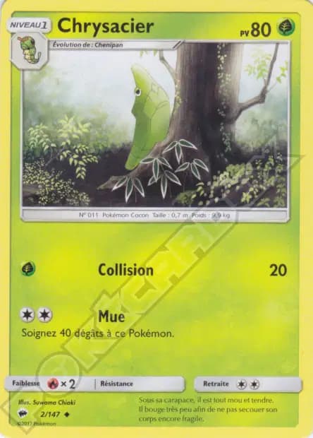 Metapod — Burning Shadows