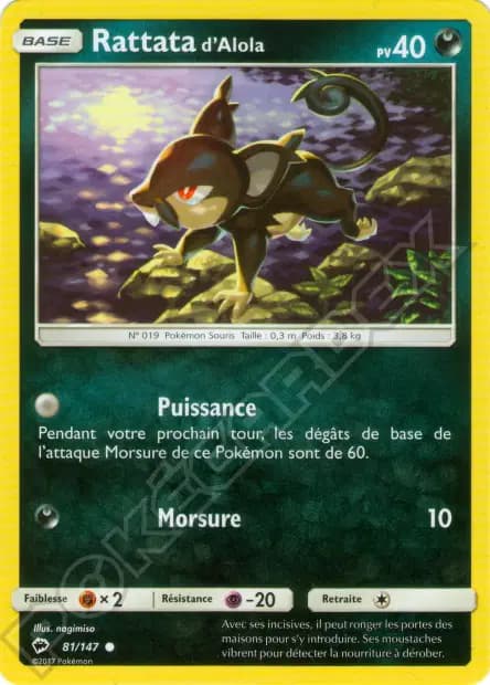 Rattata — Burning Shadows
