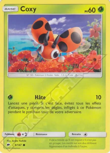Ledyba — Burning Shadows