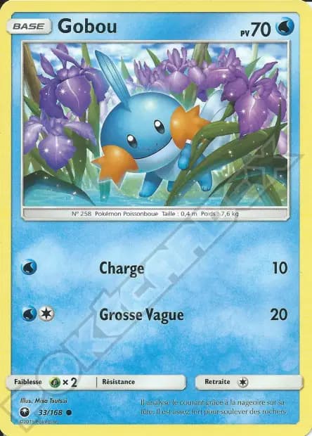 Mudkip — Celestial Storm