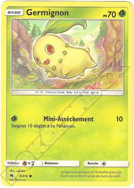 Chikorita — Lost Thunder