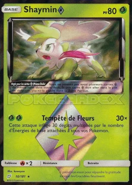 Shaymin — Team Up