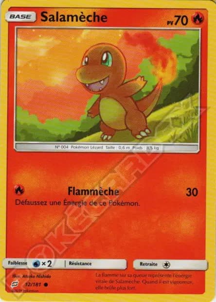 Charmander — Team Up