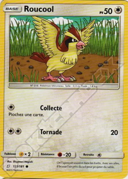 Pidgey — Team Up
