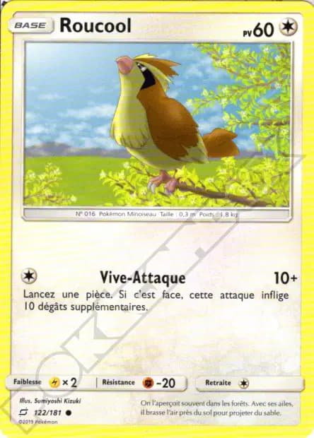 Pidgey — Team Up